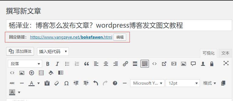 杨泽业:博客怎么发布文章?wordpress博客文章发布图文教程